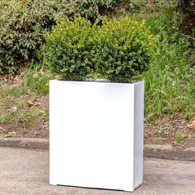 Primrose Large Polystone Stone Effect Tall Trough Planter in White
