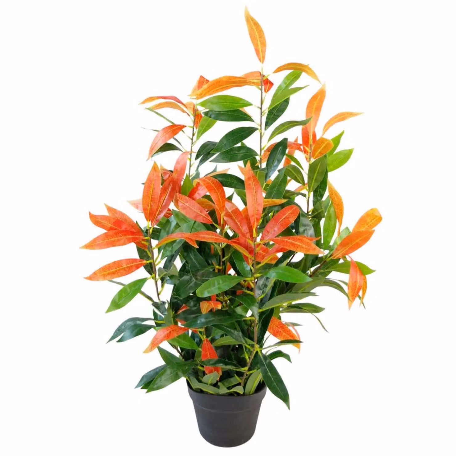 Leaf Red Robin Artificial Ficus Tree in Red and Green, Height: 80 cm – 2