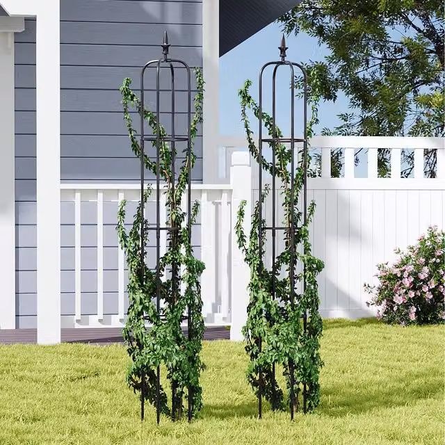 Lifeideas Obelisk Climbing Plant Support, 2 Pieces, Black