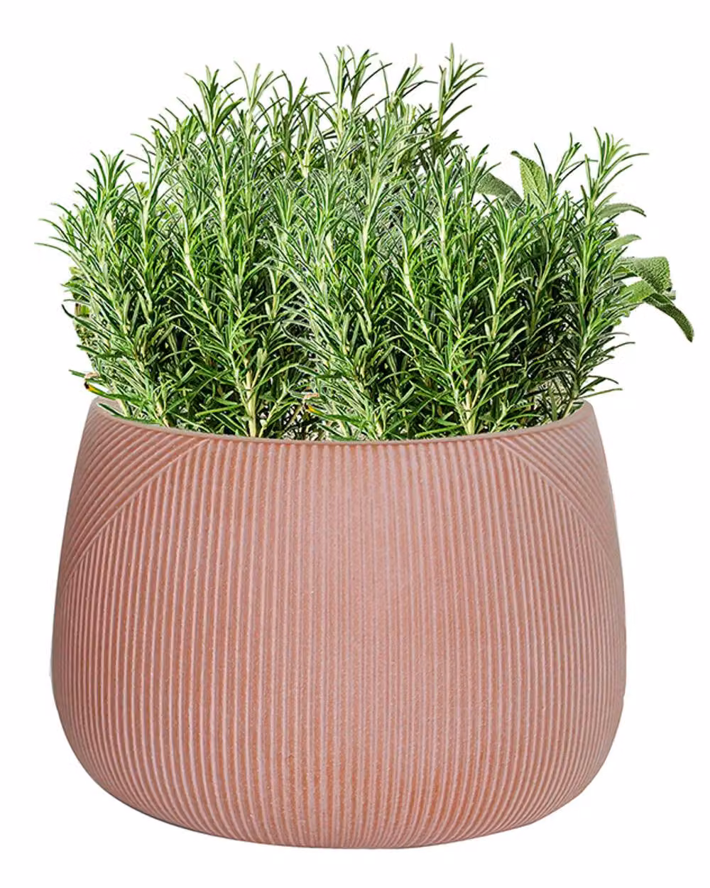 Dibor Small Symmetry Stripe Fibre Clay Planter in Pink, H: 20 cm, Dia: 29 cm – 2