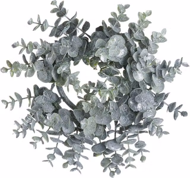 Wyld Haus Medium Frosted Eucalyptus Candle Wreath in Green