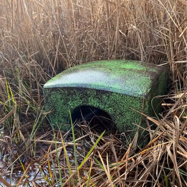 Green Ceramic Frog and Toad House