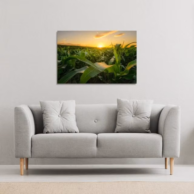 Benjamin Tate Design LTD Field at Sunset Canvas Print, Green, W: 127 cm, H: 101 cm