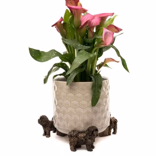 Jardinopia Shih Tzu Animal Themed Metal Plant Pot Feet in Bronze, Set of 3 – 3