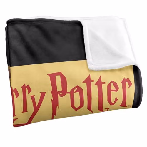 Warner Bros. Harry Potter Heroes of Hogwarts Super Soft Silky Touch Fleece Throw Blanket, Multicolour, W: 127.0 cm, D: 152.4 cm, H: 152.4 cm – 2
