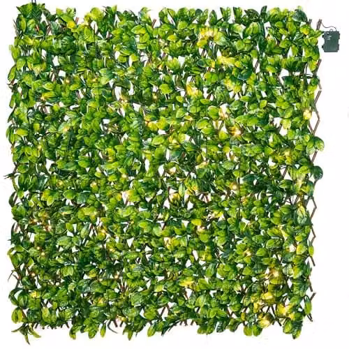 Primrose Green Artificial Laurel Leaf Extendable Trellis Hedge Screening W: 200 cm, H: 100 cm – 1