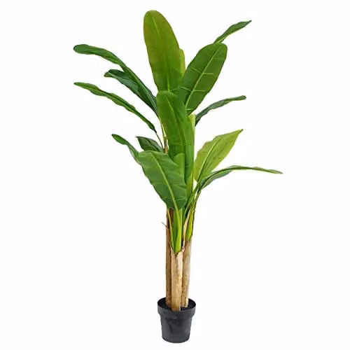Leaf Design UK Artificial Green Banana Tree Tropical Plant, Height: 180 cm
