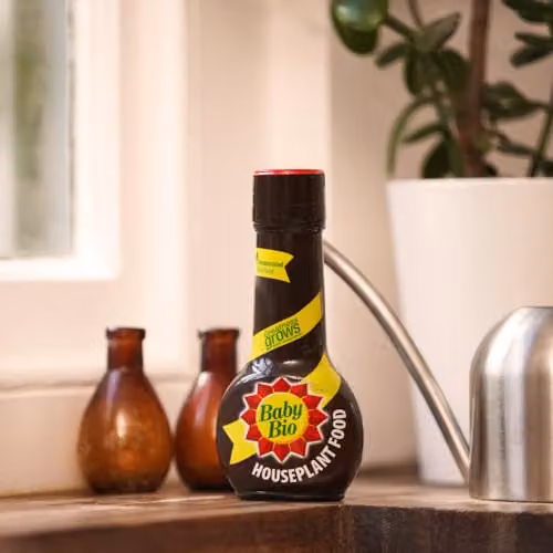 Baby Bio Houseplant Food Liquid Plant Tonic, 175 ml, Black – 4