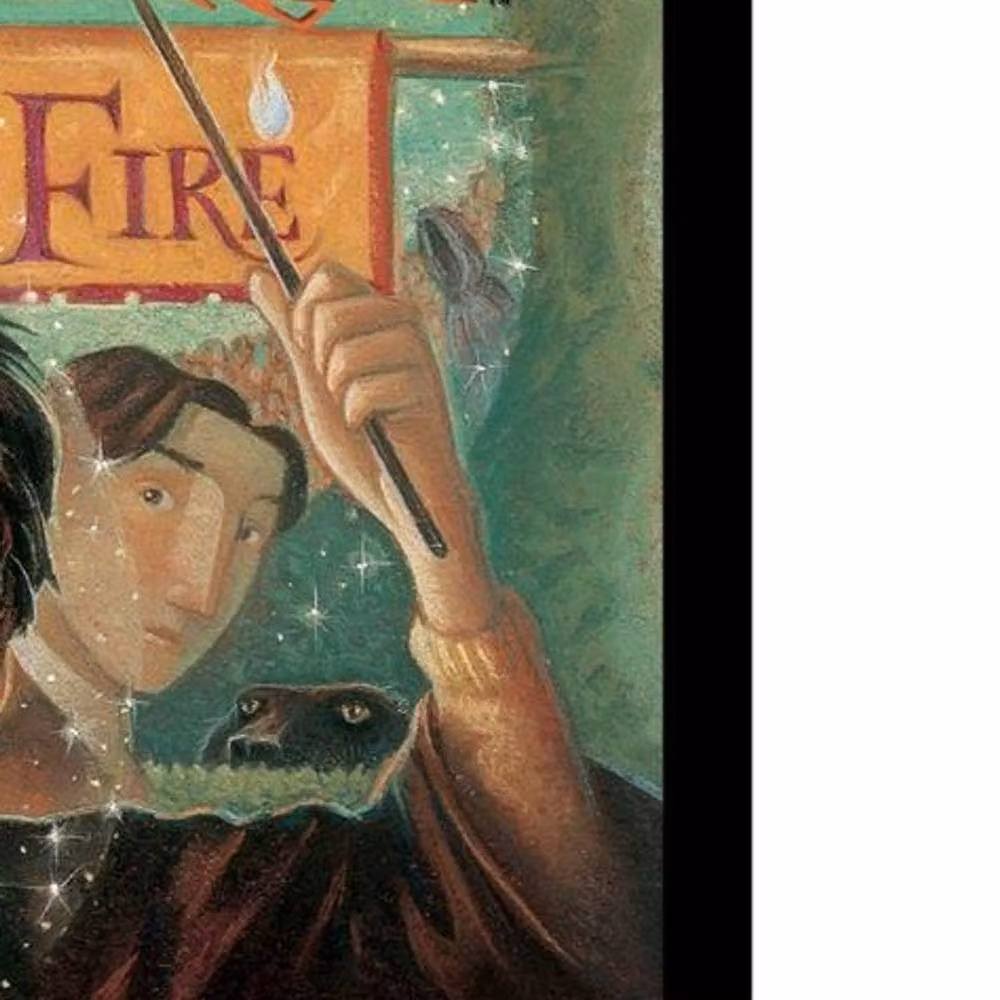 Harry Potter The Goblet of Fire Multicolour Framed Paper Poster – 2