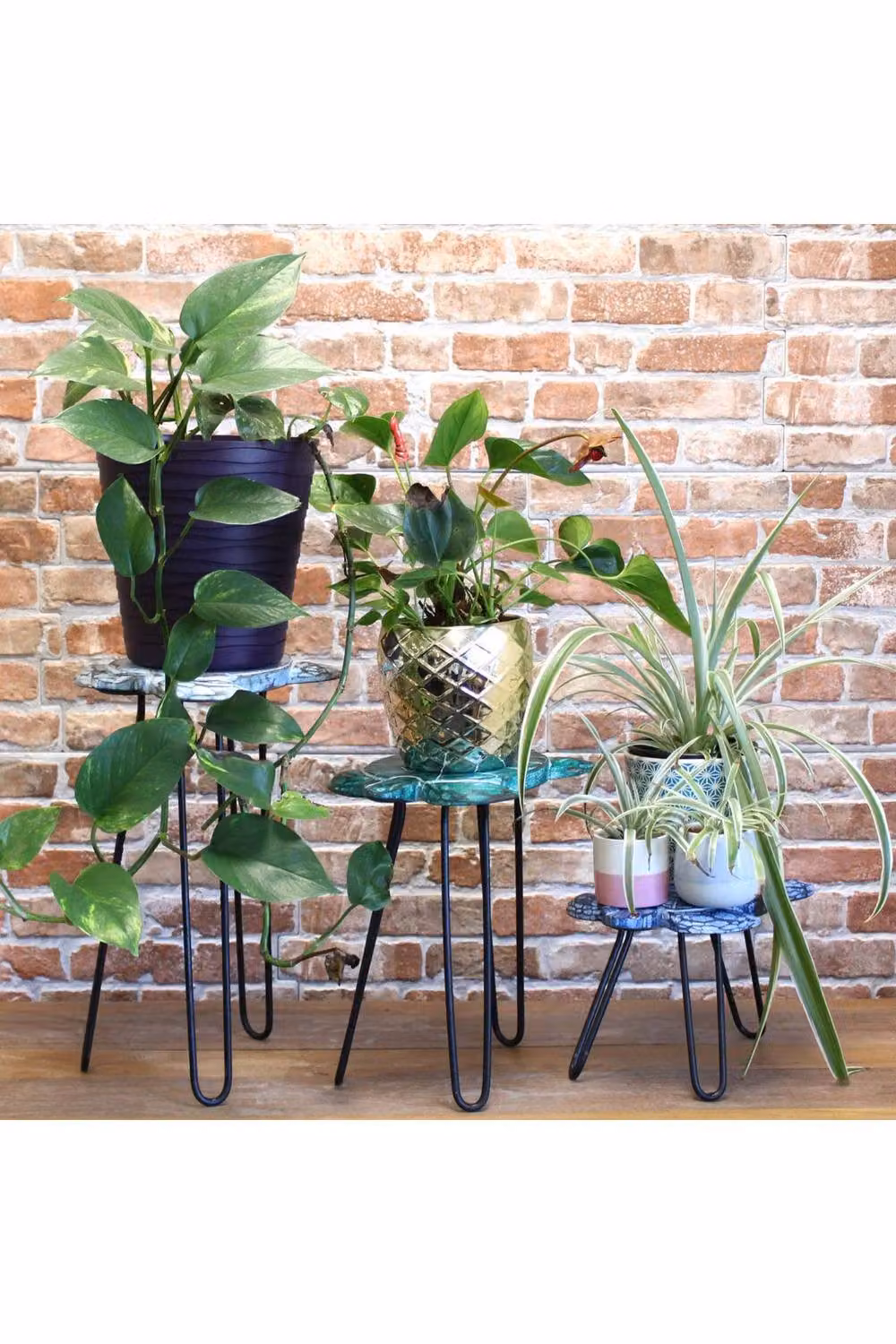 KDMD Set of 3 Round Wooden Plant Stands with Metal Hairpin Legs in White, Green and Multicolour – 2