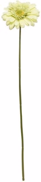 KDMD Green Gerbera Floral Stems, 4 Pack, Height: 72 cm