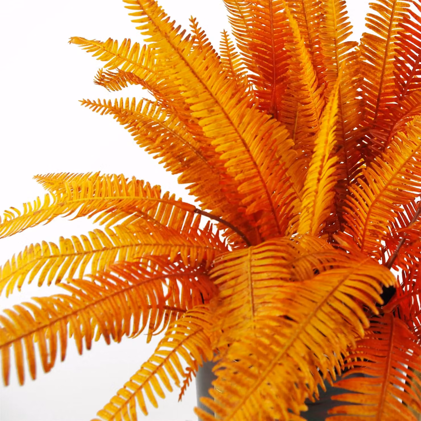 Leaf Design UK Artificial Autumn Fern Bush Plant in Green and Orange, Height: 55 cm – 2