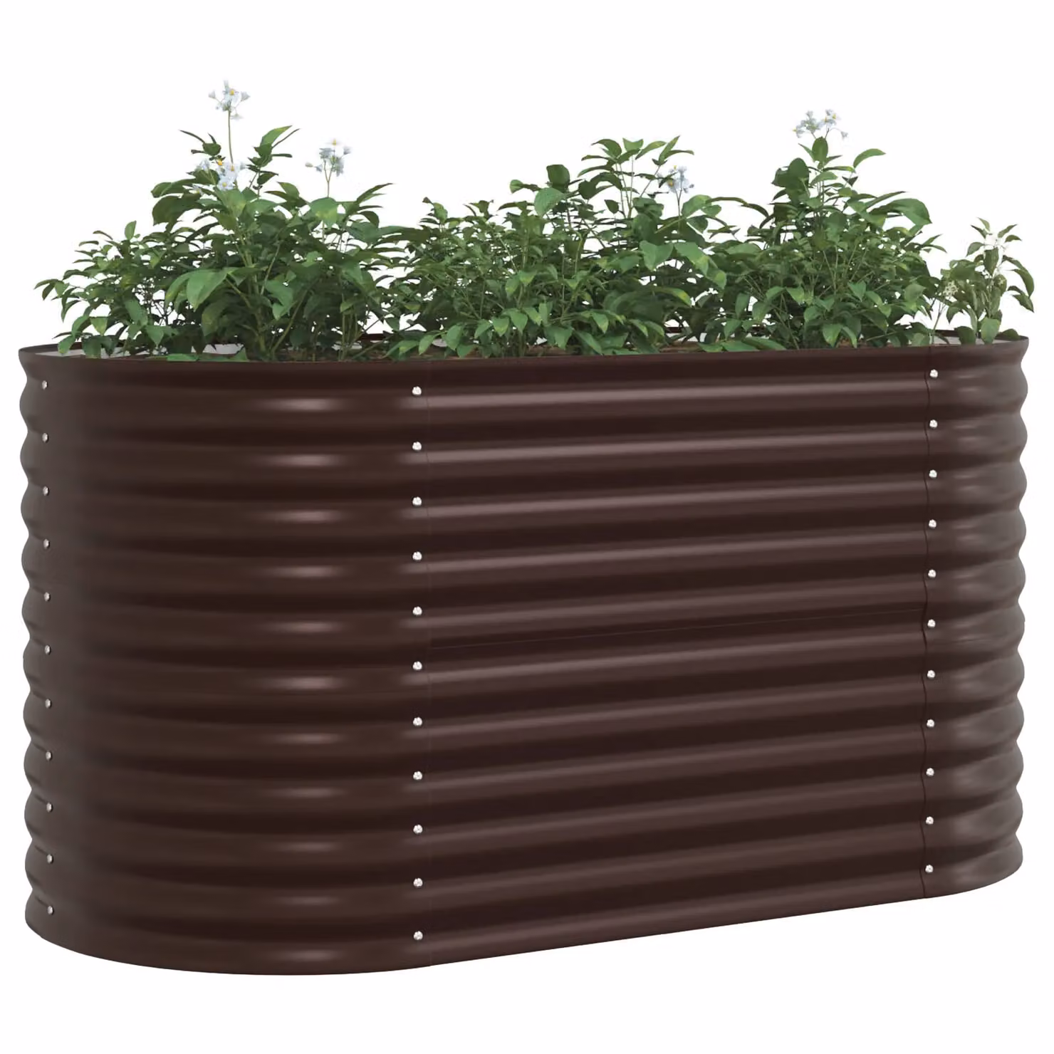 Berkfield Home Garden Raised Bed in Brown Galvanised Steel, W: 160 cm, D: 80 cm, H: 81 cm – 3