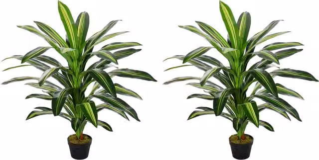 Outsunny Set of 2 Green Artificial Dracaena Trees, Height: 110 cm