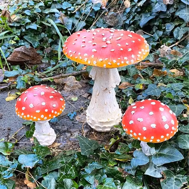 Farmwood Set of 3 Red Mushroom Toadstool Tabletop Ornaments