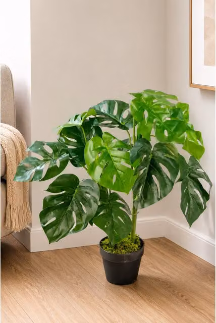 Leaf Design UK Artificial Monstera Plant in Green Moss Pot