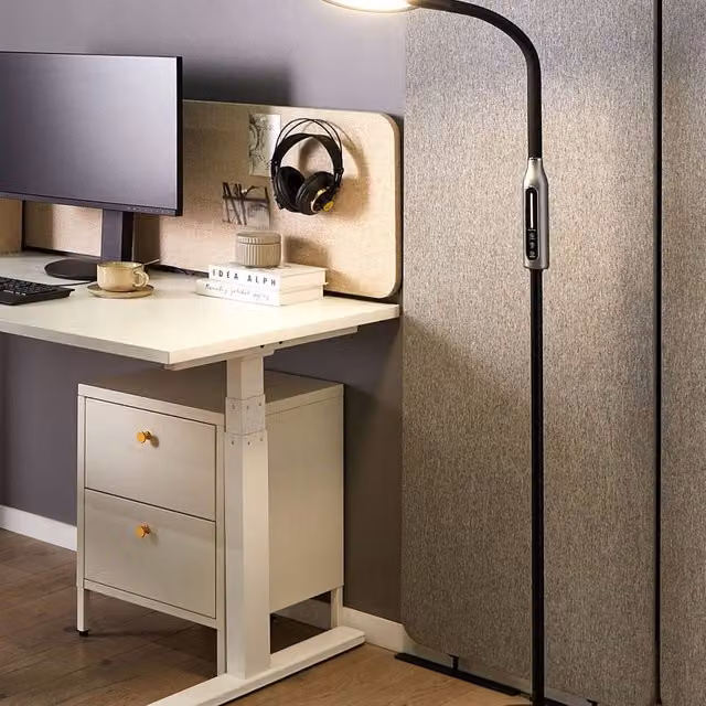 Wyld and Coco Black Dimmable LED Ring Floor Lamp, Height: 148 cm