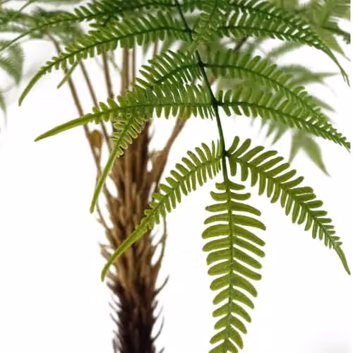 Botanik Premium Artificial Fern Grass Green and Black Tabletop Plant – 3