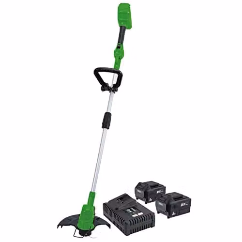 Draper 94580 D20 40V Green Grass Trimmer with Telescopic Handle, Cutting Line, Rechargeable Battery and Quick Charger