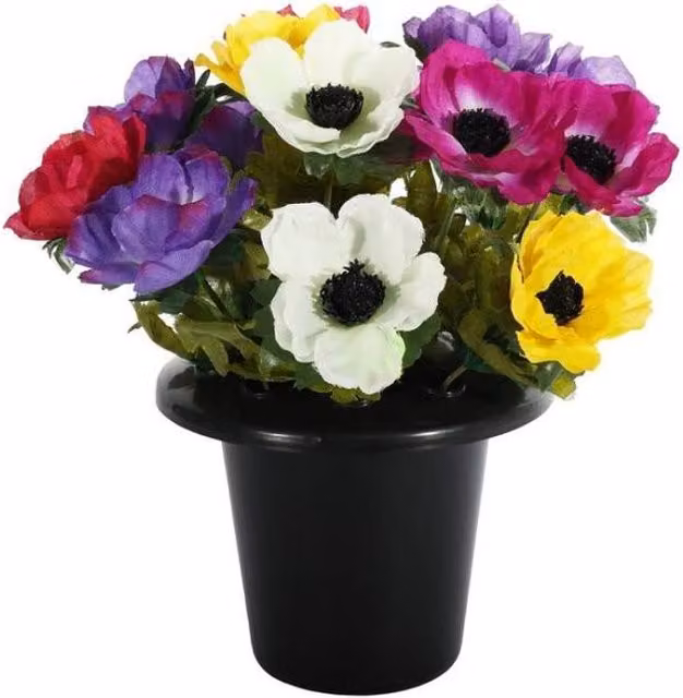 KDMD Multicolor Anemone Remembrance Pot