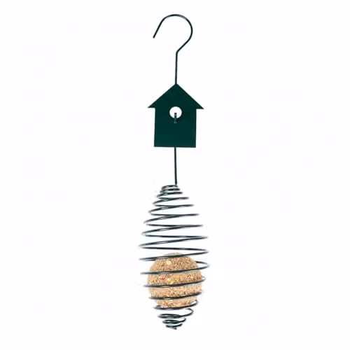 Homescapes Metal Spring Bird Feeder with Bird Decoration in Green