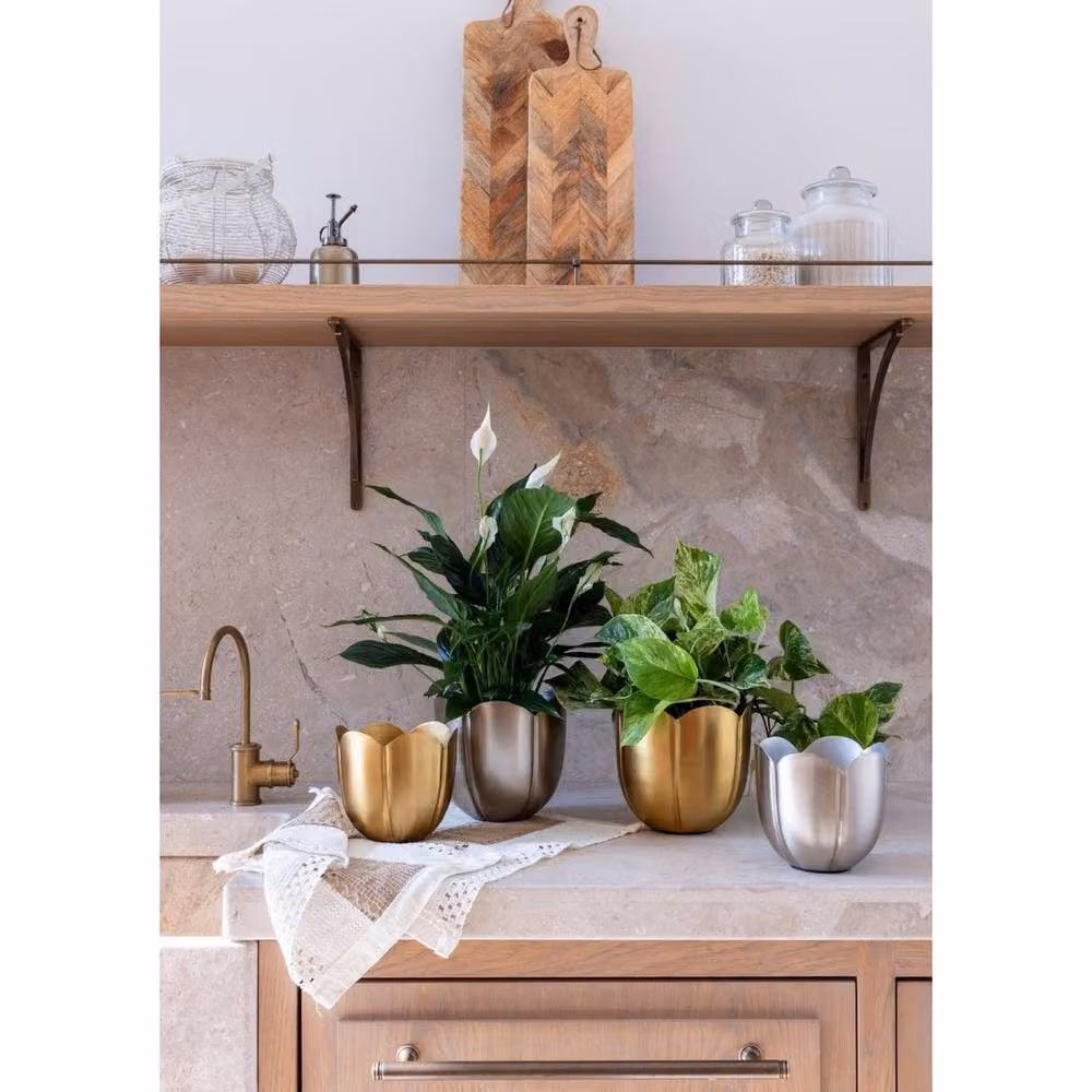 Lemon Pavilion Furniture and Decor Eva Tulip Metal Tabletop Planter Set of 2, Silver, W/D/H: 18 x 18 x 17 cm – 3