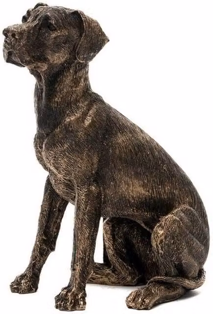 Jardinopia Great Dane Plant Pot Feet, Set of 3, Bronze, W: 11 cm, D: 11 cm, H: 7 cm – 1