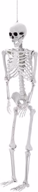 Garden Sanctuary White Poseable Plastic Skeleton Hanging Prop for Halloween Party Decoration