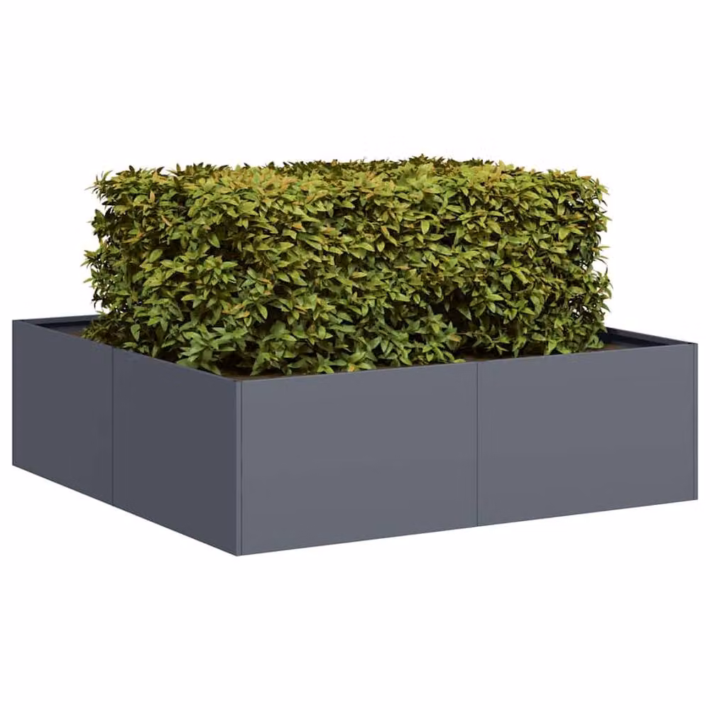 Berkfield Home Steel Planter Tub in Anthracite, W/D/H: 100 x 100 x 30 cm – 2