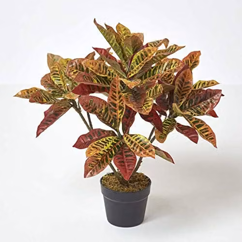 Homescapes Rushfoil Artificial Potted Croton Plant in Red and Multicolour with Black Pot, Height: 65 cm – 1