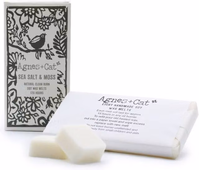 Agnes & Cat Sea Salt & Moss Soy Wax Melts, Box of 8, White – 1