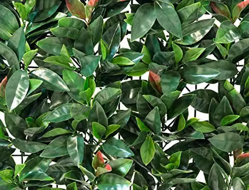 Papillon Primrose Green Artificial Hedge Panels, Pack of 8, W/H: 50 x 50 cm – 2