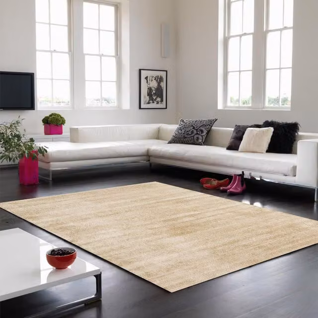 The Rug Shop UK Beige Plain Viscose Rectangular Rug, W: 160 cm, L: 230 cm – 1