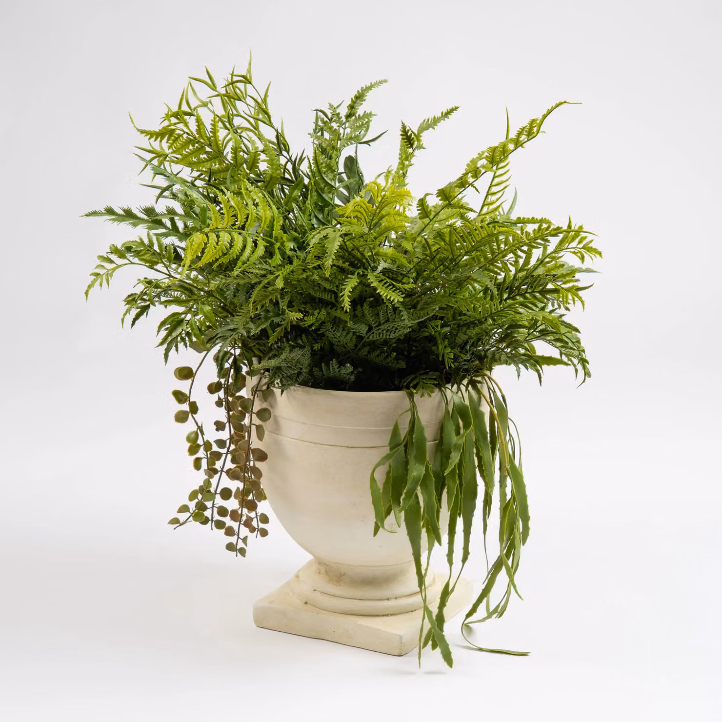 Scottish Everlastings Ltd Green Mixed Fern Potted Urn – 3