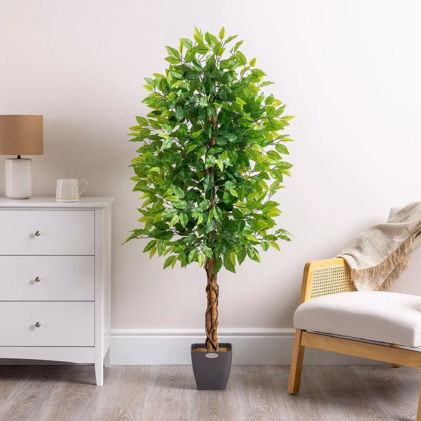 Christow Artificial Ficus Tree in Green, Height: 120 cm – 2