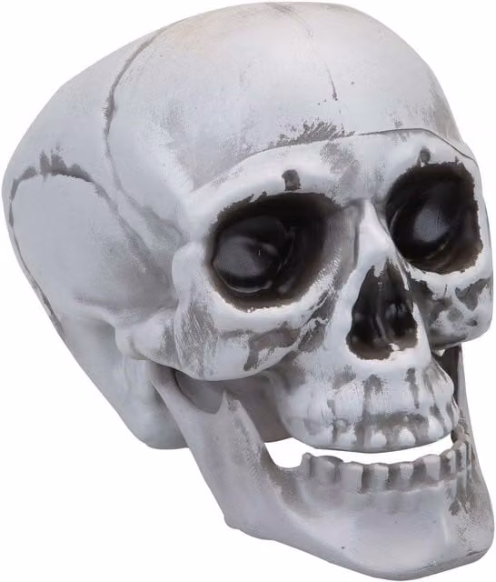 VFM e-Store Large White Skull Tabletop Decoration with Moving Jaw for Halloween