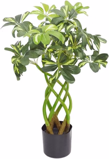 Botanik 70cm Artificial Potted Bonsai Tree in Green and Gold – 1