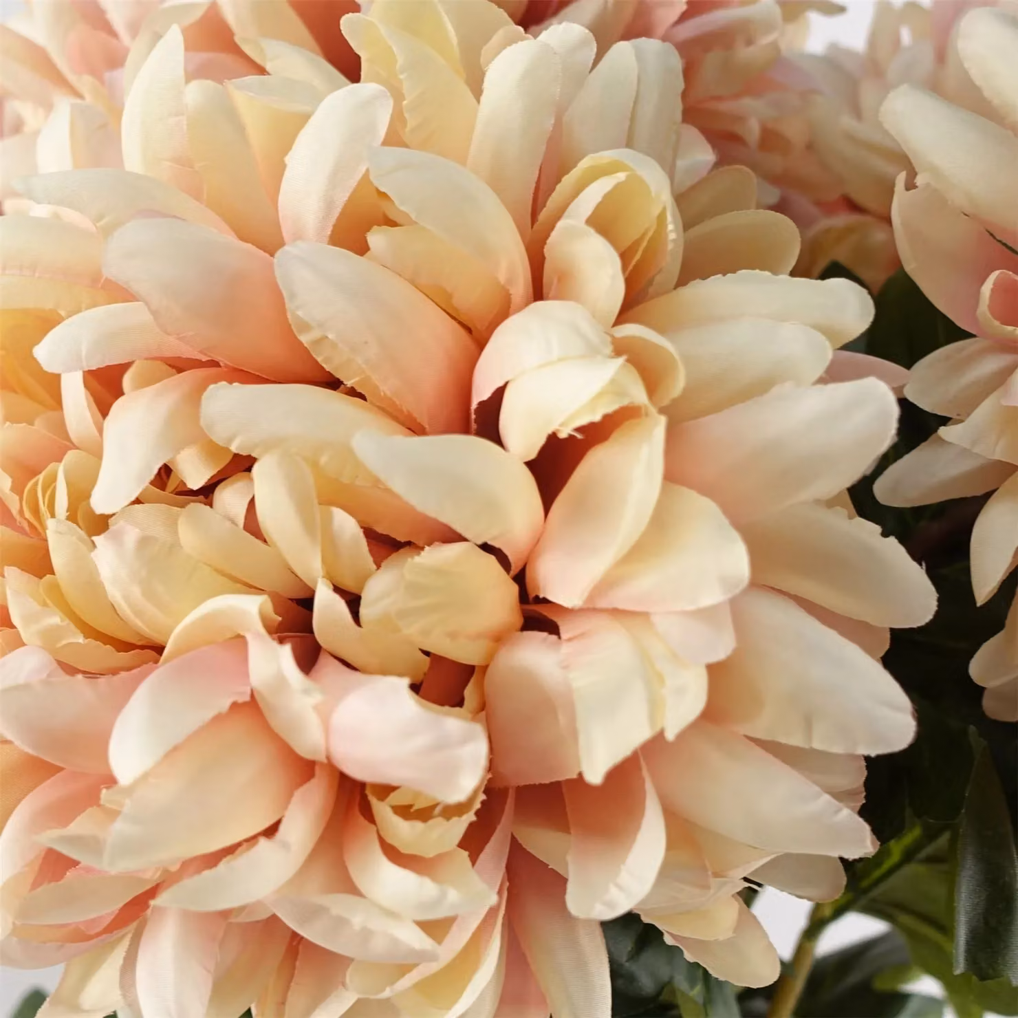 Leaf Pink Artificial Chrysanthemum Stem Flowers, Height: 75 cm – 2
