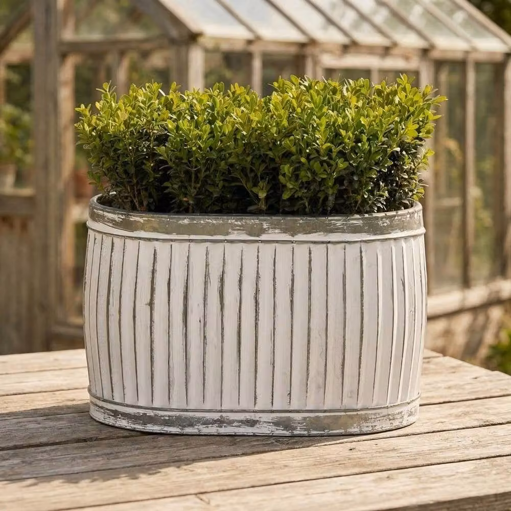 FLAVORA Medium Vintage Aged Ribbed Galvanised Metal Planter Tub in White – 3