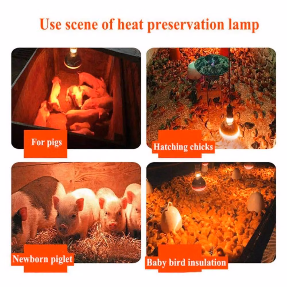 NESTLUNE Ruby 250w Infrared Heat Lamp and Bulb in Silver – 4