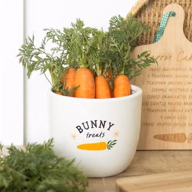 Uniqueful Bunny Treats Ceramic Pot in White, 1.5 l – 1