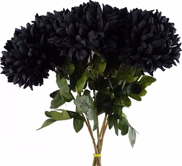 Pack of 6 Extra Large Black Reflex Silk Chrysanthemum Artificial Flowers