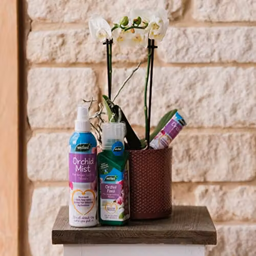 Westland Horticulture Orchid Mist Spray 250ml – 4