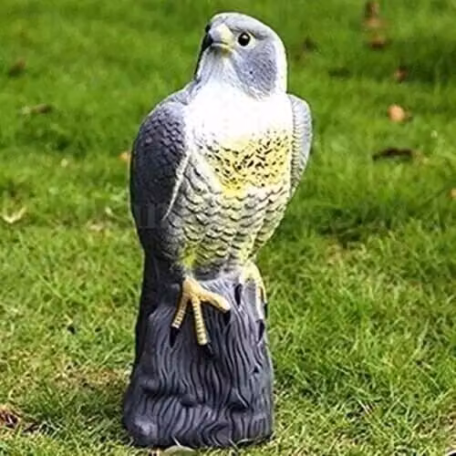 Marco Paul Realistic Falcon Decoy Bird Deterrent in Grey
