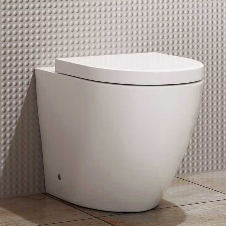Elva White Ceramic Rimless Back to Wall Toilet with Soft Close Seat and Concealed Fixing