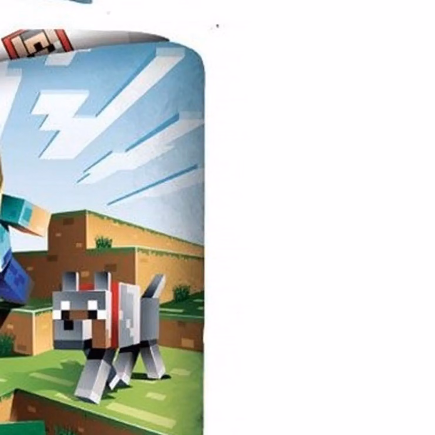 Minecraft Reversible Cotton Duvet Cover and Pillowcase Set in Green, Single (W: 90 cm, H: 200 cm) – 2