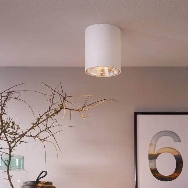 Eglo Polasso LED Ceiling Light, Modern Cylindrical Aluminium Design in White and Silver with Warm White Light