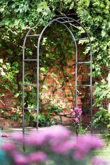 Samuel ALEXANDER Metal Steel Garden Flower Arch Trellis in Black or Green, H: 228 cm, W: 110 cm – 2