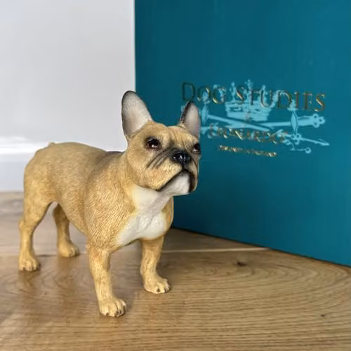 Leonardo Animal Crackers French Bulldog Figurine in Brown, Beige and Multicolour