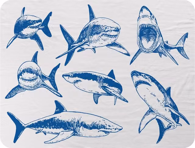 Benjamin Tate Design Graphical Blue Sharks Fleece Blanket in Natural, W/D/H: 120 x 150 cm – 2